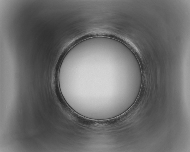 X0000112490487200908170954