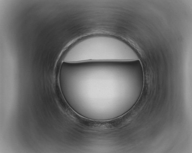 X0000112490488200908170954