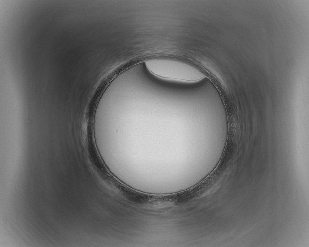 X0000112490491200908170954