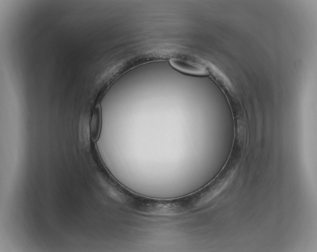X0000112490493200908170954