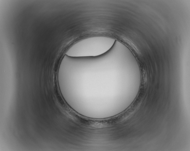 X0000112490494200908170954