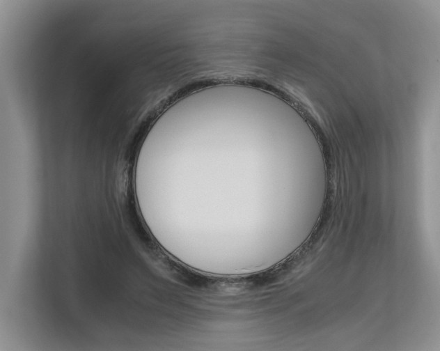 X0000112490495200908170954