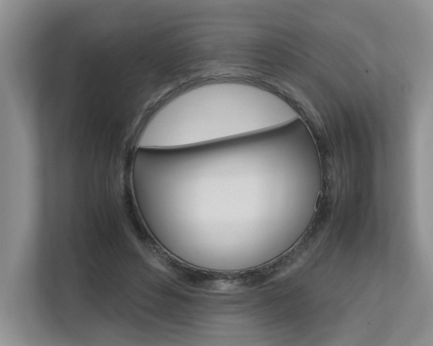 X0000112490496200908170954