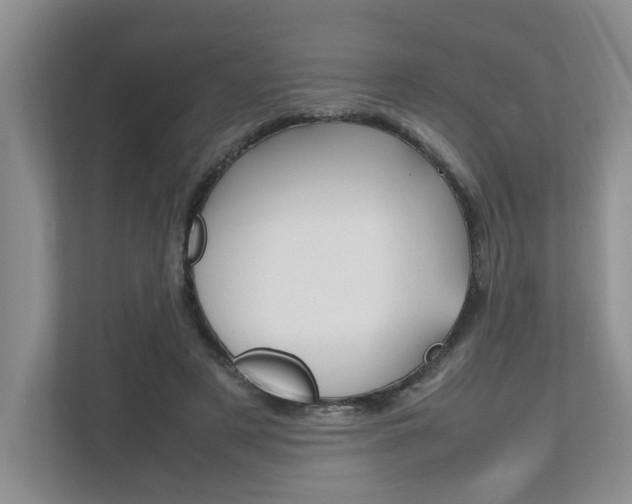 X0000112490497200908170954