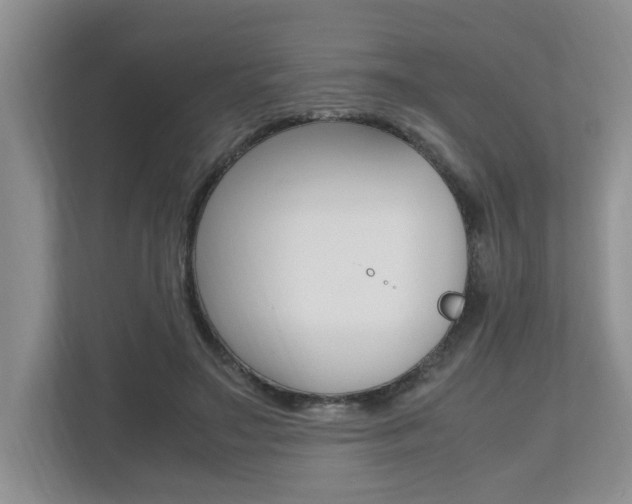X0000112490499200908170954