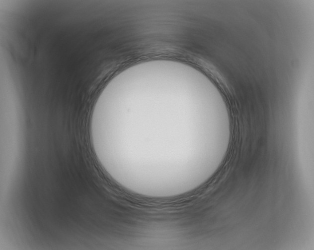 X0000112490501200908170954