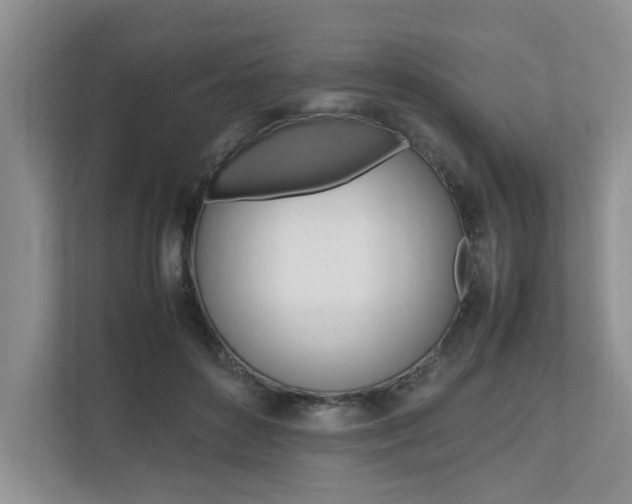 X0000112490504200908170954
