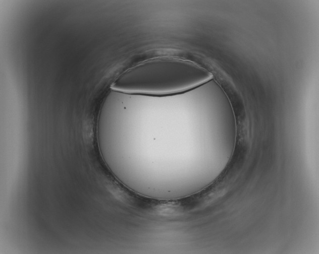 X0000112490505200908170954