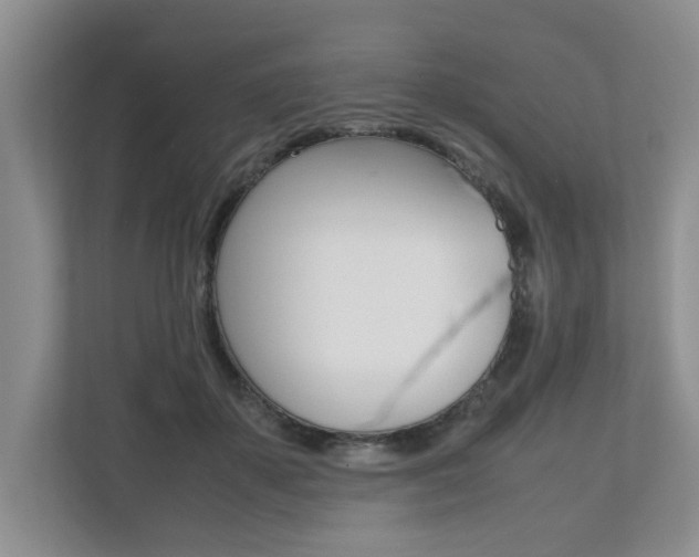 X0000112490507200908170954