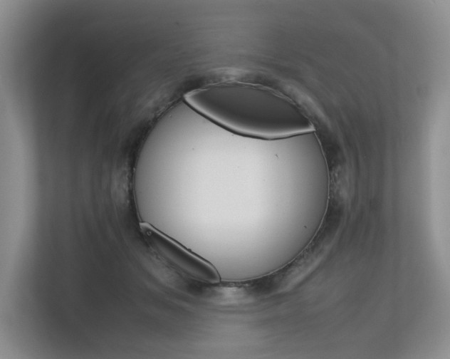 X0000112490509200908170954