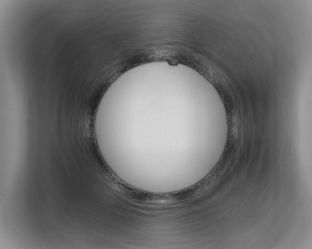 X0000112490514200908170954