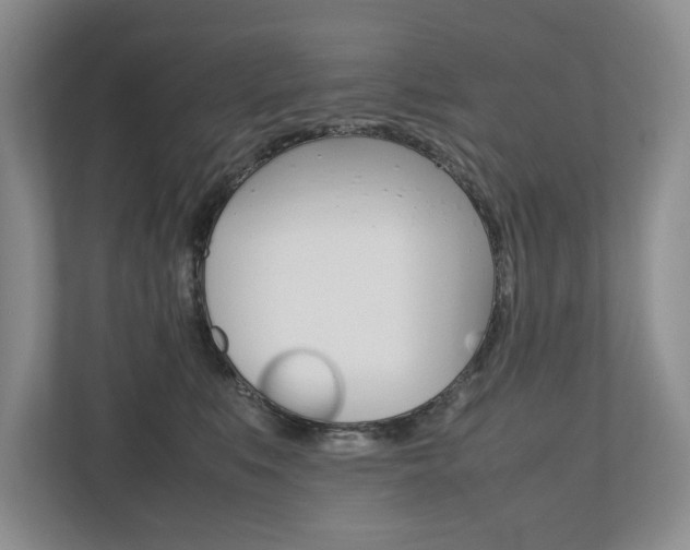X0000112490519200908170954