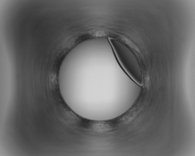 X0000112490521200908170954