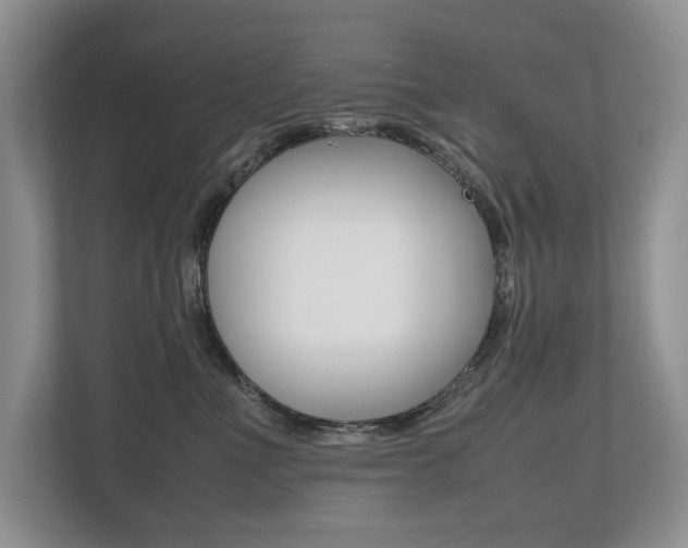 X0000112490523200908170954