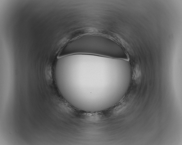 X0000112490524200908170954