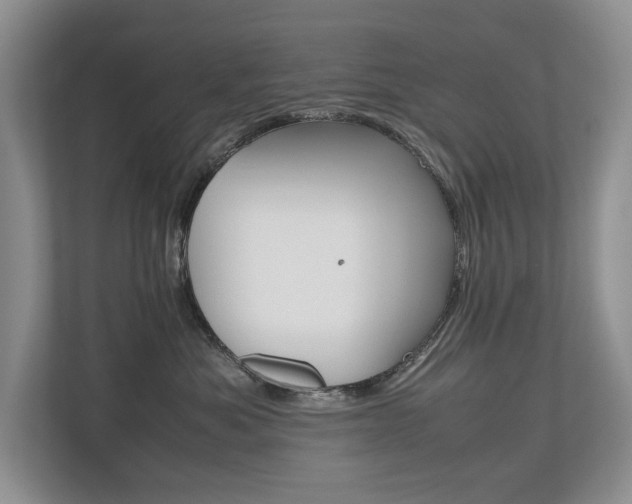 X0000112490525200908170954