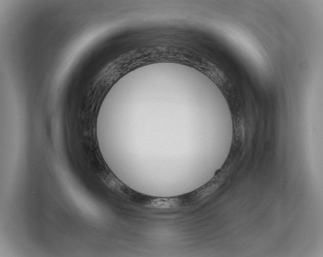 X0000112490526200908170954