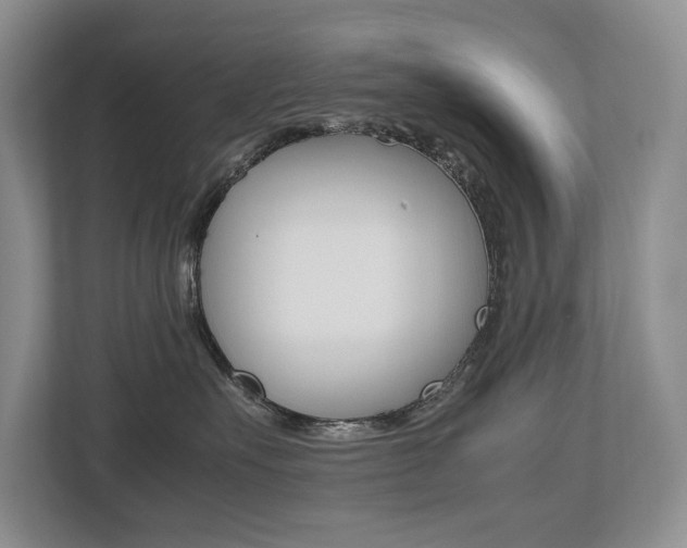 X0000112490527200908170954