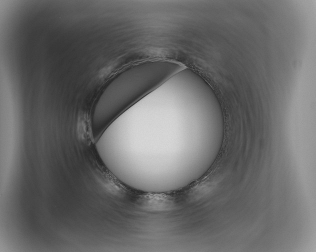 X0000112490528200908170954