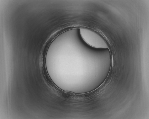 X0000112490531200908170953