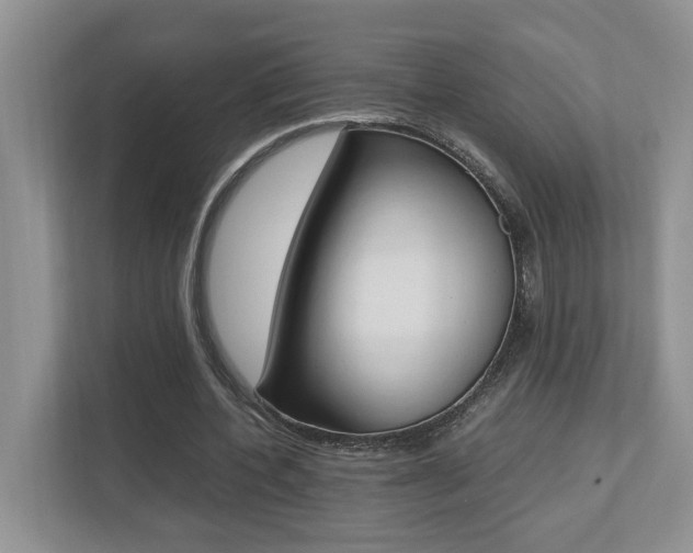 X0000112490532200908170953