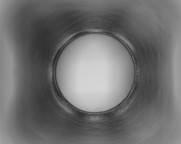 X0000112490533200908170953