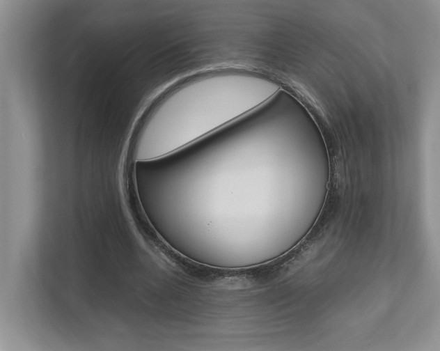 X0000112490536200908170953