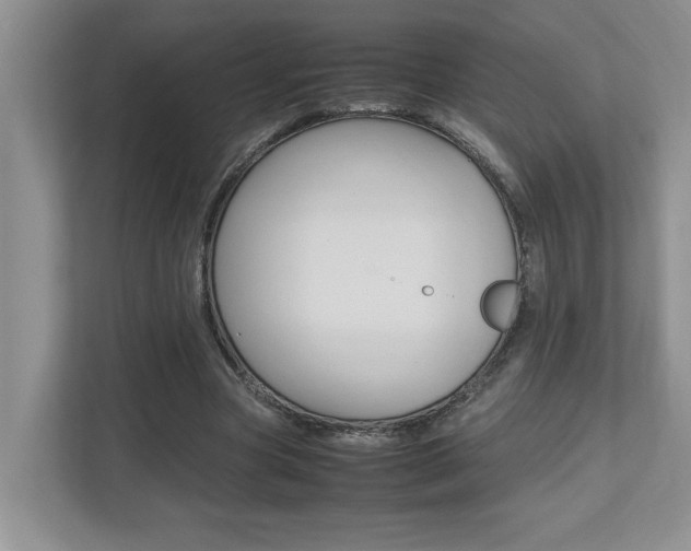 X0000112490537200908170953