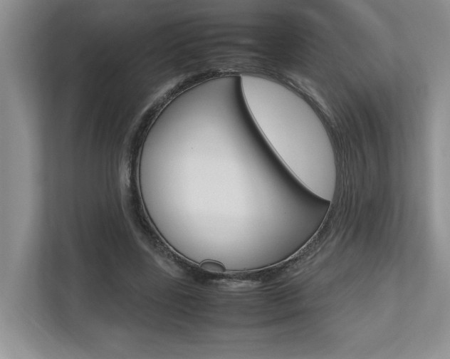 X0000112490539200908170953