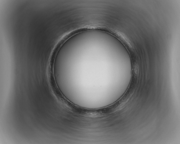 X0000112490540200908170953