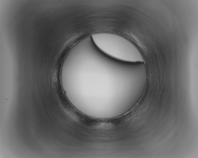 X0000112490543200908170953