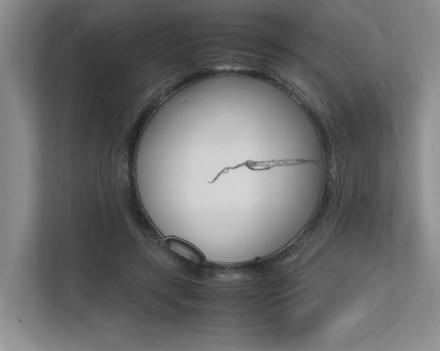 X0000112490547200908170953
