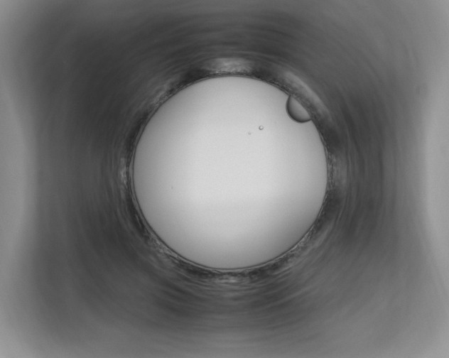 X0000112490549200908170953