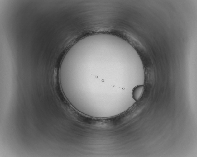 X0000112490550200908170953