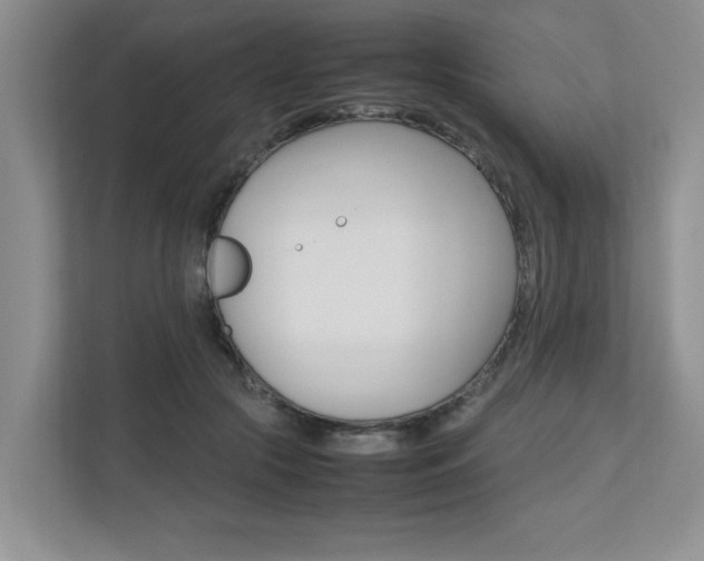 X0000112490553200908170953