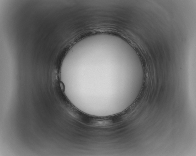 X0000112490555200908170953