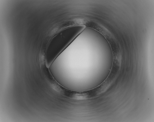 X0000112490556200908170953