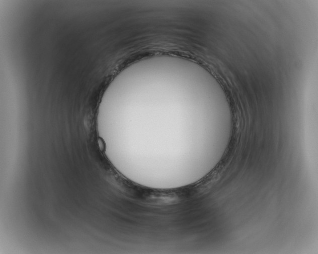 X0000112490559200908170953