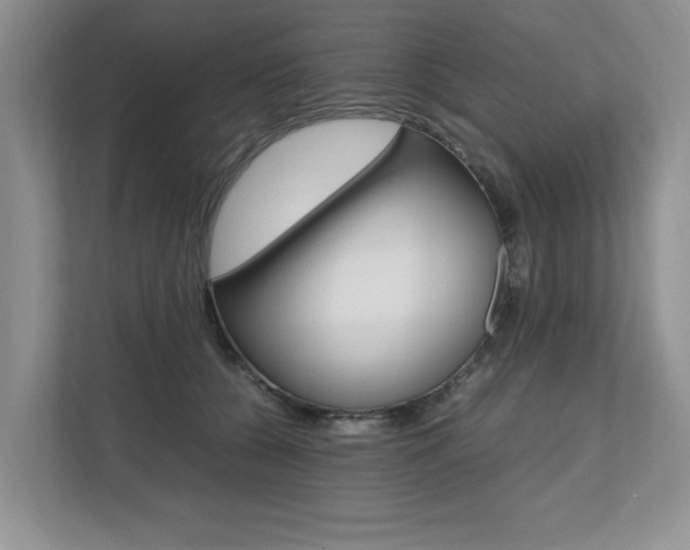 X0000112490560200908170953