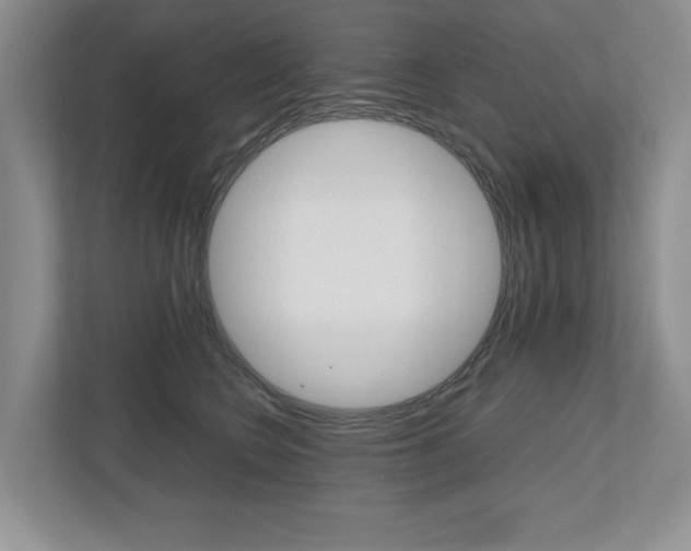 X0000112490566200908170953