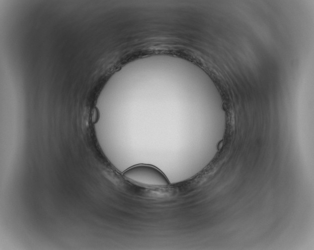 X0000112490567200908170953