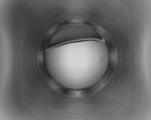 X0000112490570200908170953