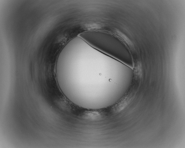 X0000112490572200908170953