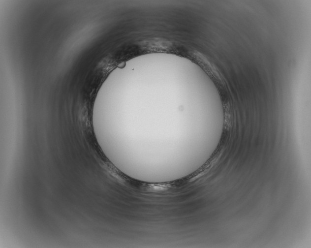 X0000112490573200908170953