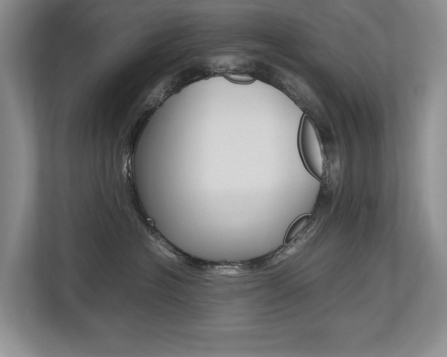 X0000112490574200908170953