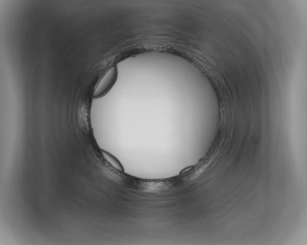X0000112490575200908170954