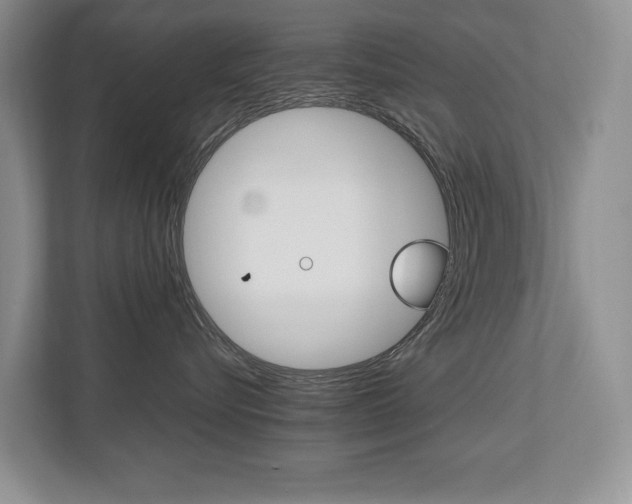 X0000112490576200908170954