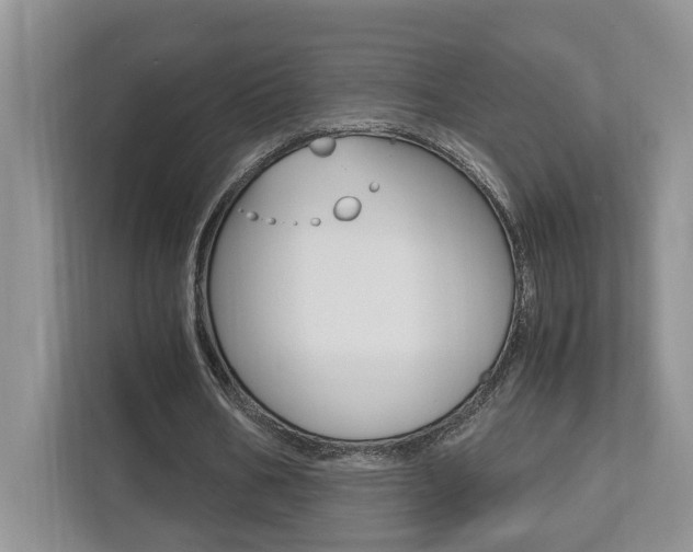 X0000112490578200908170953