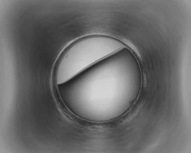 X0000112490580200908170953
