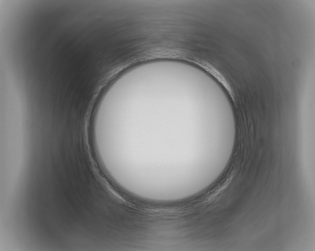 X0000112490581200908170953